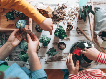 Children making small terrariums