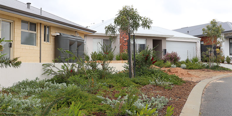 Houses in the City of Swan with native verge planting