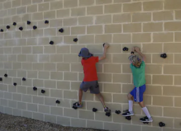 Children on a rock climbing wall