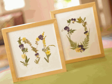 Pressed flowers in frames