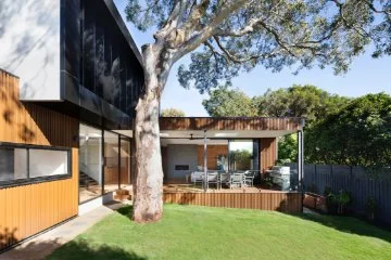 A backyard in a leafy neighbourhood